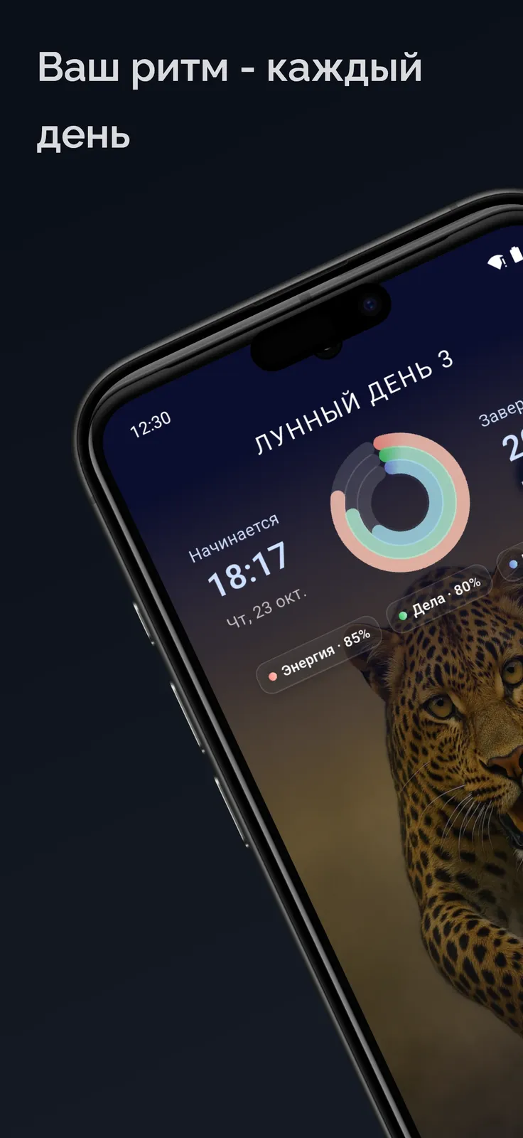 Главный экран приложения LunaLife — лунный день, время начала и завершения, энергетический круг и рекомендации по ритму дня