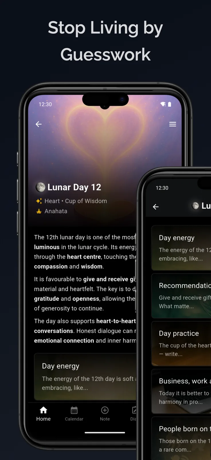 LunaLife lunar planning sections for energy, practice, business timing, and action guidance
