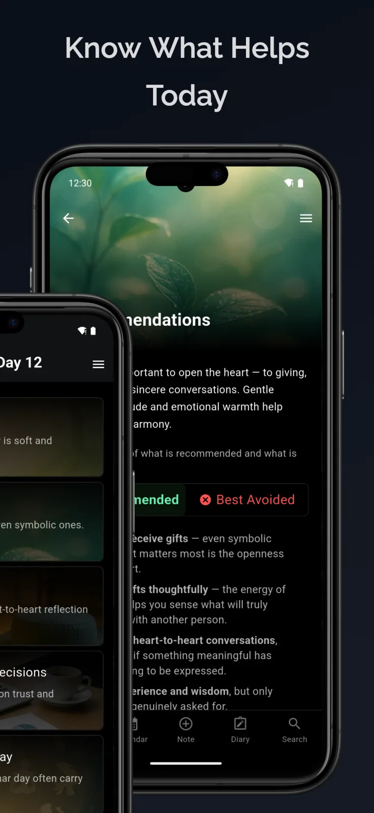LunaLife app screen explaining the meaning and practical use of a lunar day