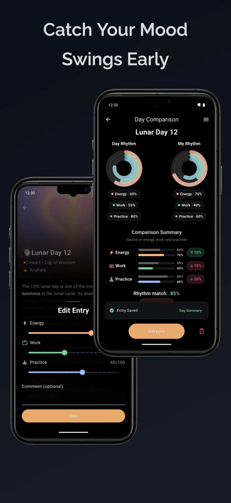 LunaLife comparison view showing daily notes alongside lunar-day guidance