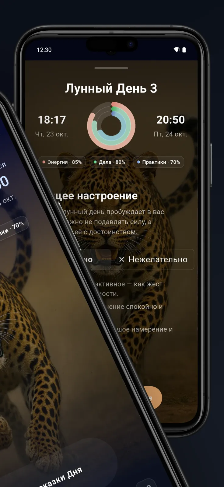 Экран LunaLife с рекомендациями по дню, энергии и полезным действиям