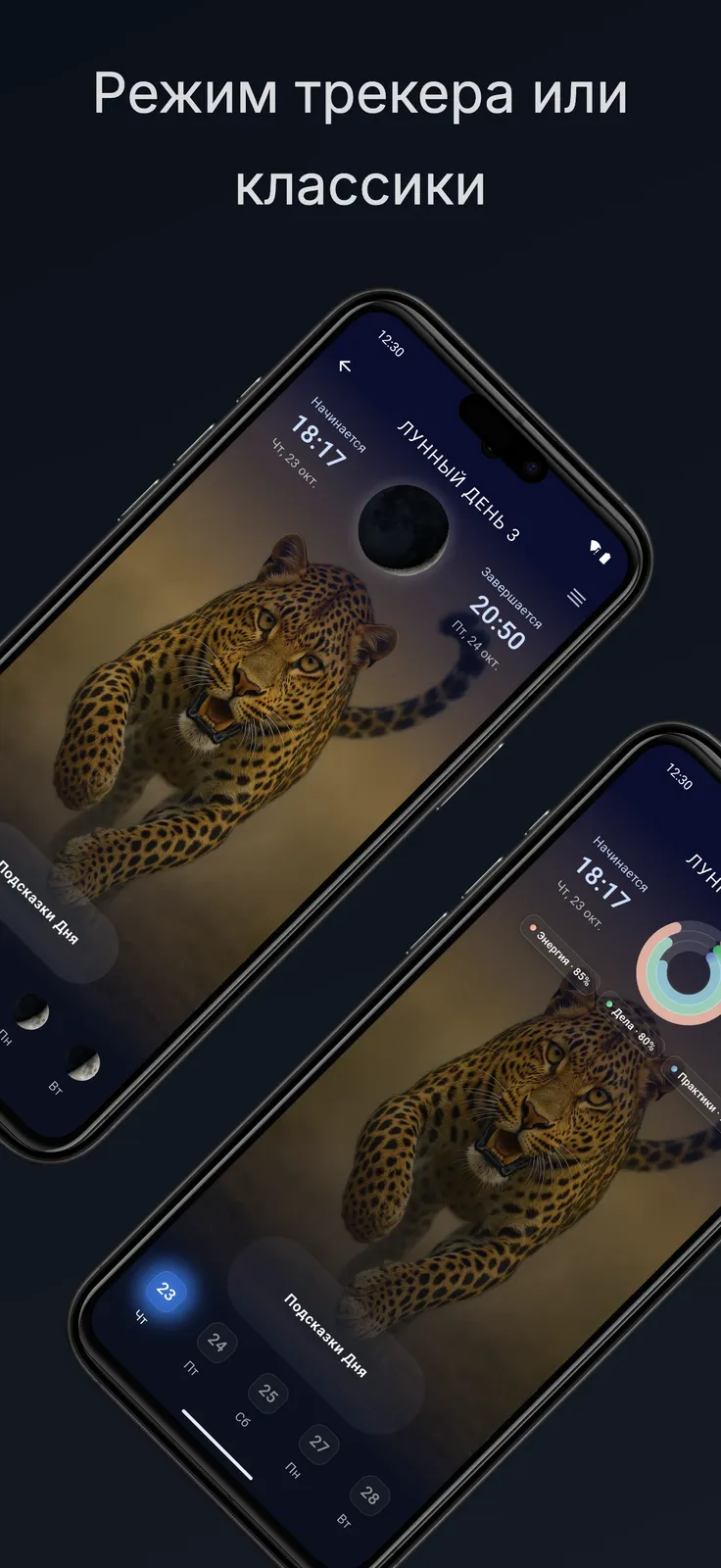 Режимы LunaLife для классического вида лунного дня и простого ежедневного использования